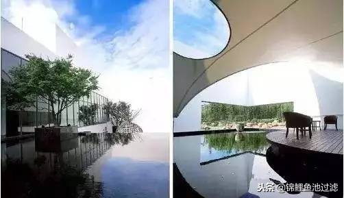 园林景观设计知识干货图,精品园林景观设计建造杂记