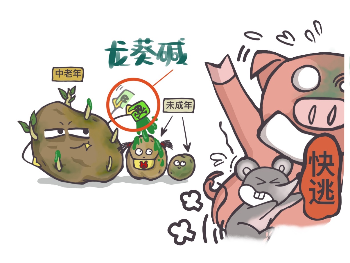 一幼儿园被曝果蔬变质,幼儿园食堂禁止食用的蔬菜