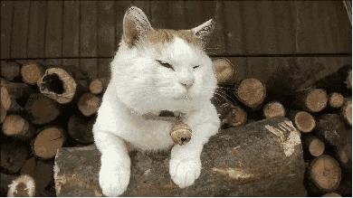 近日多地特大暴雨天气,今明有暴雨到大暴雨