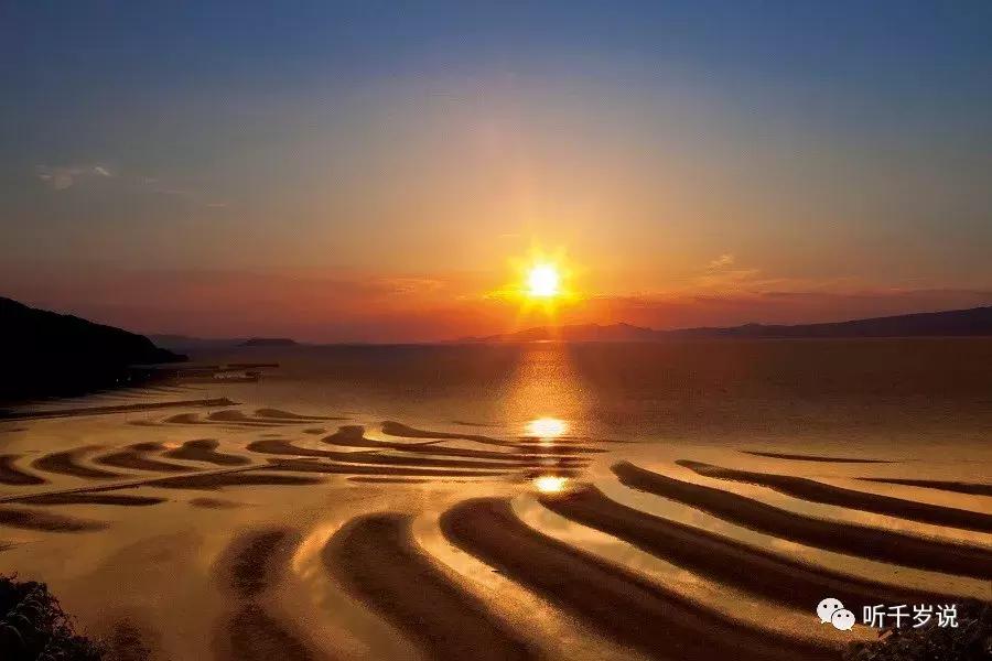 日本东京熊本熊,日本熊本游