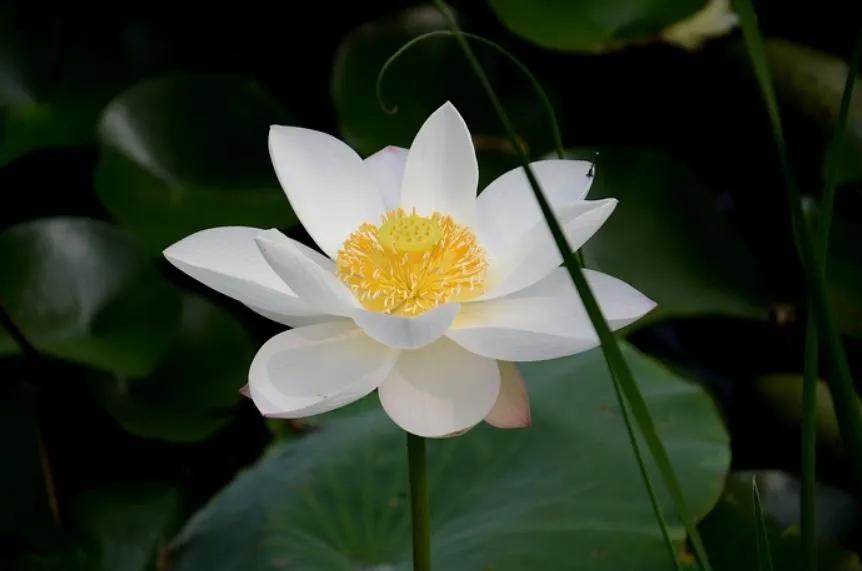 hbo顶级生活,hbo的残酷青春剧