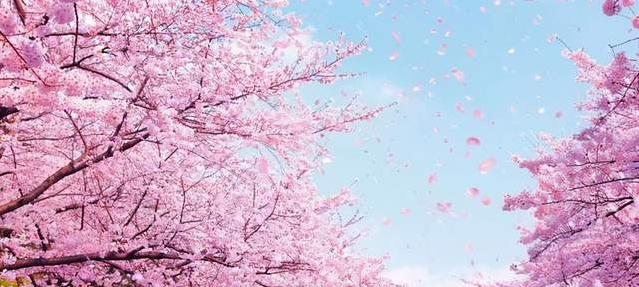 打动“音乐诗人”李健的高原湖泊,原来来这儿旅游如此休闲惬意