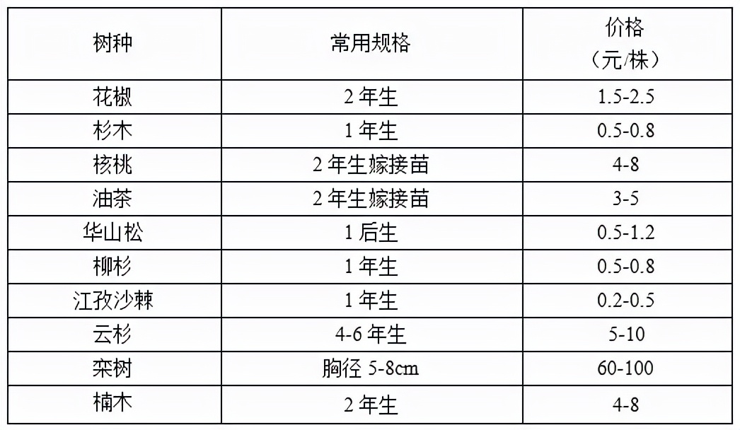 苗木市场前景预测2017,2023年下半年苗木价格报告