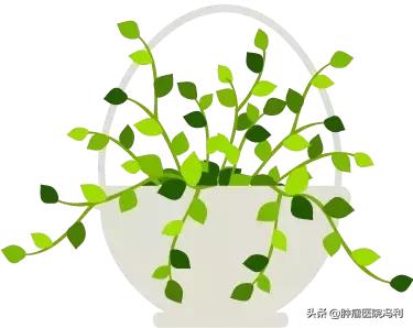 乳腺癌后期痛疼用什么中药治疗,乳腺癌咳嗽痰多