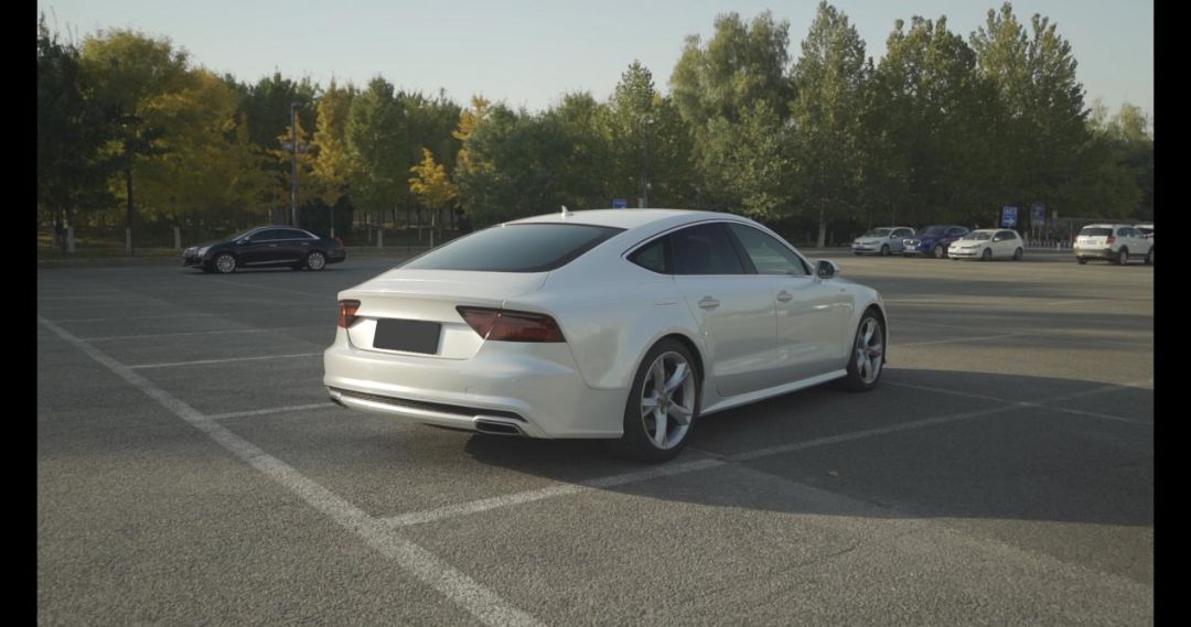 能文能武，扮虎吃猪，灯厂A7，掀背无敌