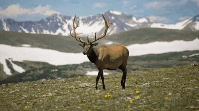 ppt使用3d功能来介绍自己,ppt插入3d功能不能用