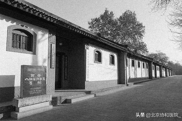 苏萌抗日二十六载,苏萌抗战三十年