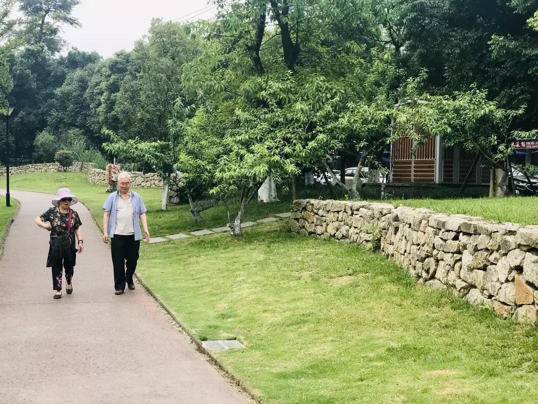 每个郫筒二小毕业的，都是在石牛公园耍大的