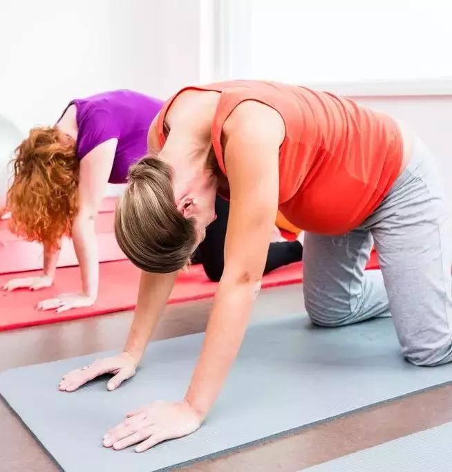 一招缩短母猪产程,紧张会缩短产程吗