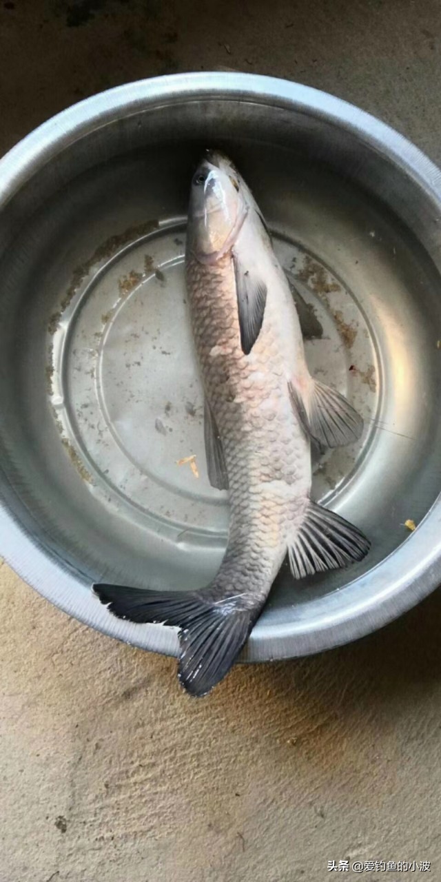 几十元买的路亚竿质量测试,几十元买到好的国产鱼竿