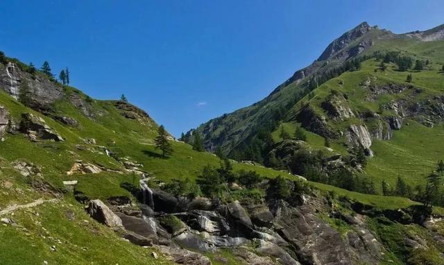 中国护照越来越值钱,中国护照免签2024汇总