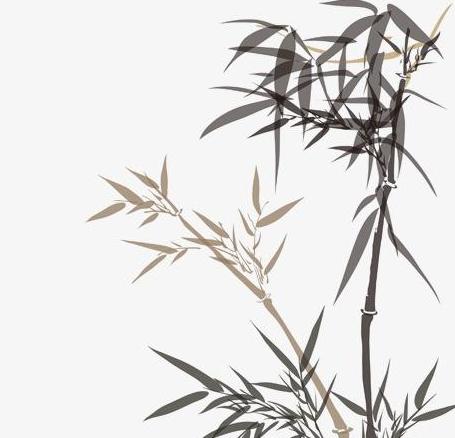 家里竹子摆放有什么风水讲究吗,家里放什么样的竹子寓意有主见