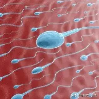 精子颜色为灰色有没有问题,精子的颜色有点灰红色