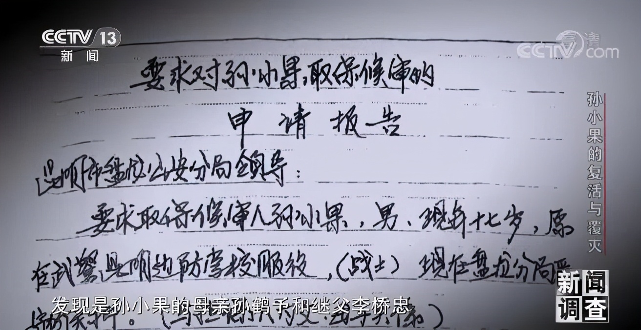 社会与法孙小果,社会评论孙小果