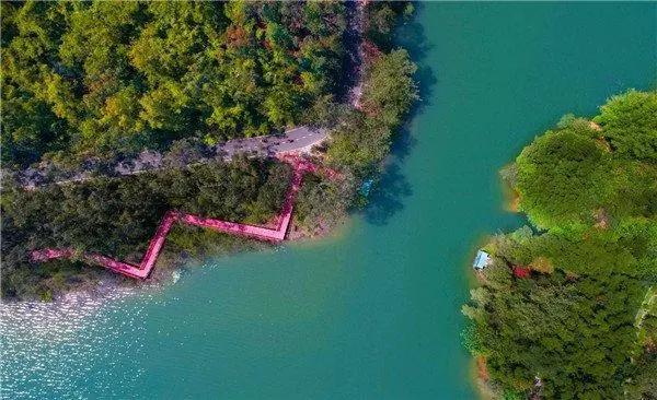 中山值得投资买房的地段,中山买房入圈还是入坑