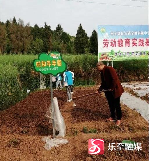 以党建为引领劳动教育,党建引领劳动教育