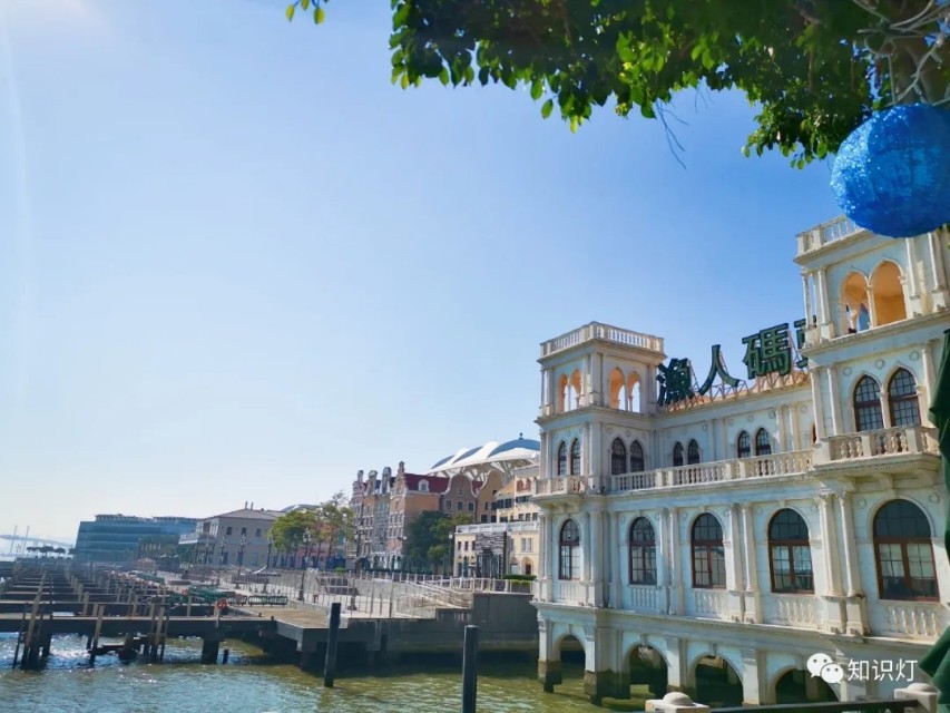 赌城简介,走进赌徒的内心世界