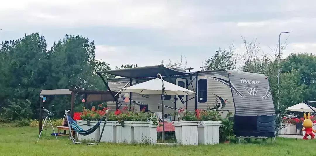 北京菊花花海,北京赏花好去处国际花港