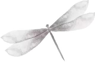 古琴禅茶一味完整版,为什么叫禅茶一味