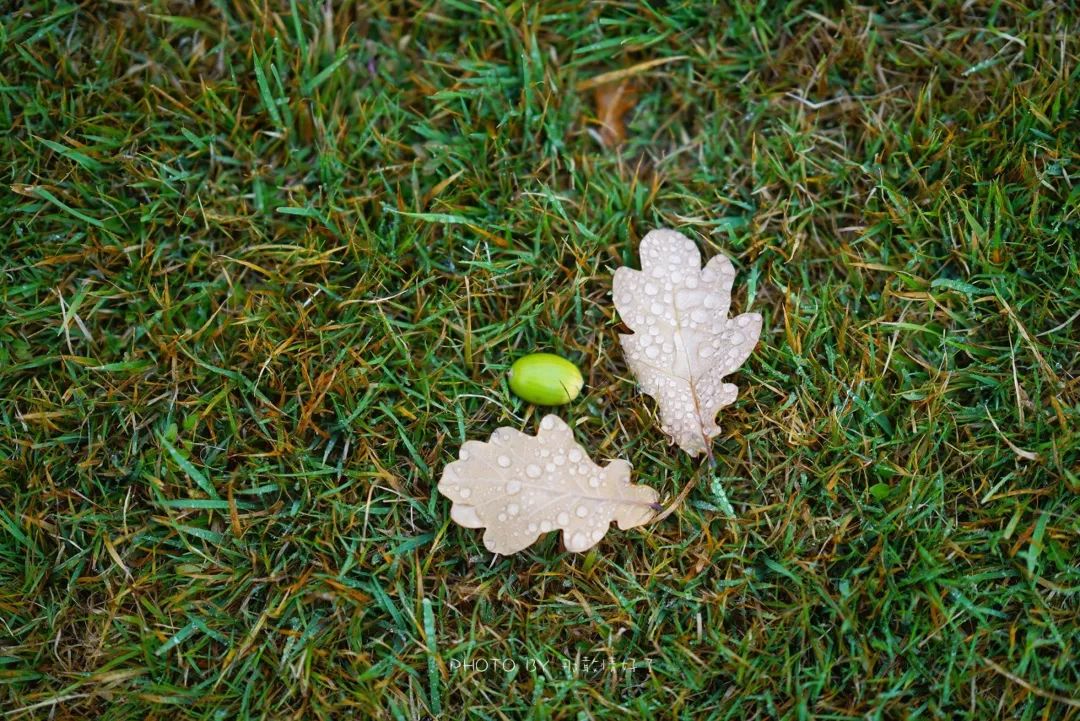 世界最美监狱,号称世界最美监狱