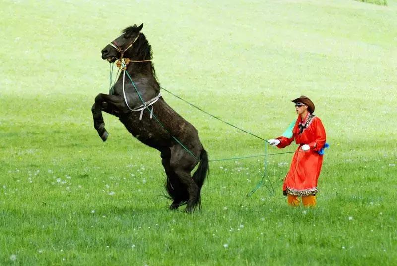 高中学霸推荐的试卷,高中一个班都是高分的试卷