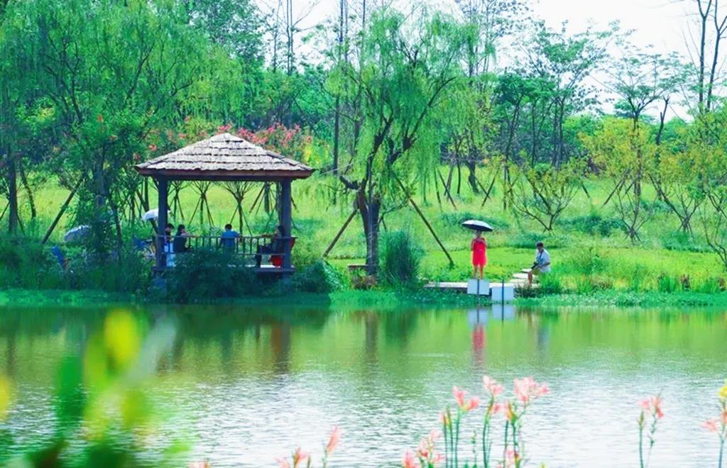 从贫困村到美丽乡村的华丽转身,崇州五星村国家示范乡村