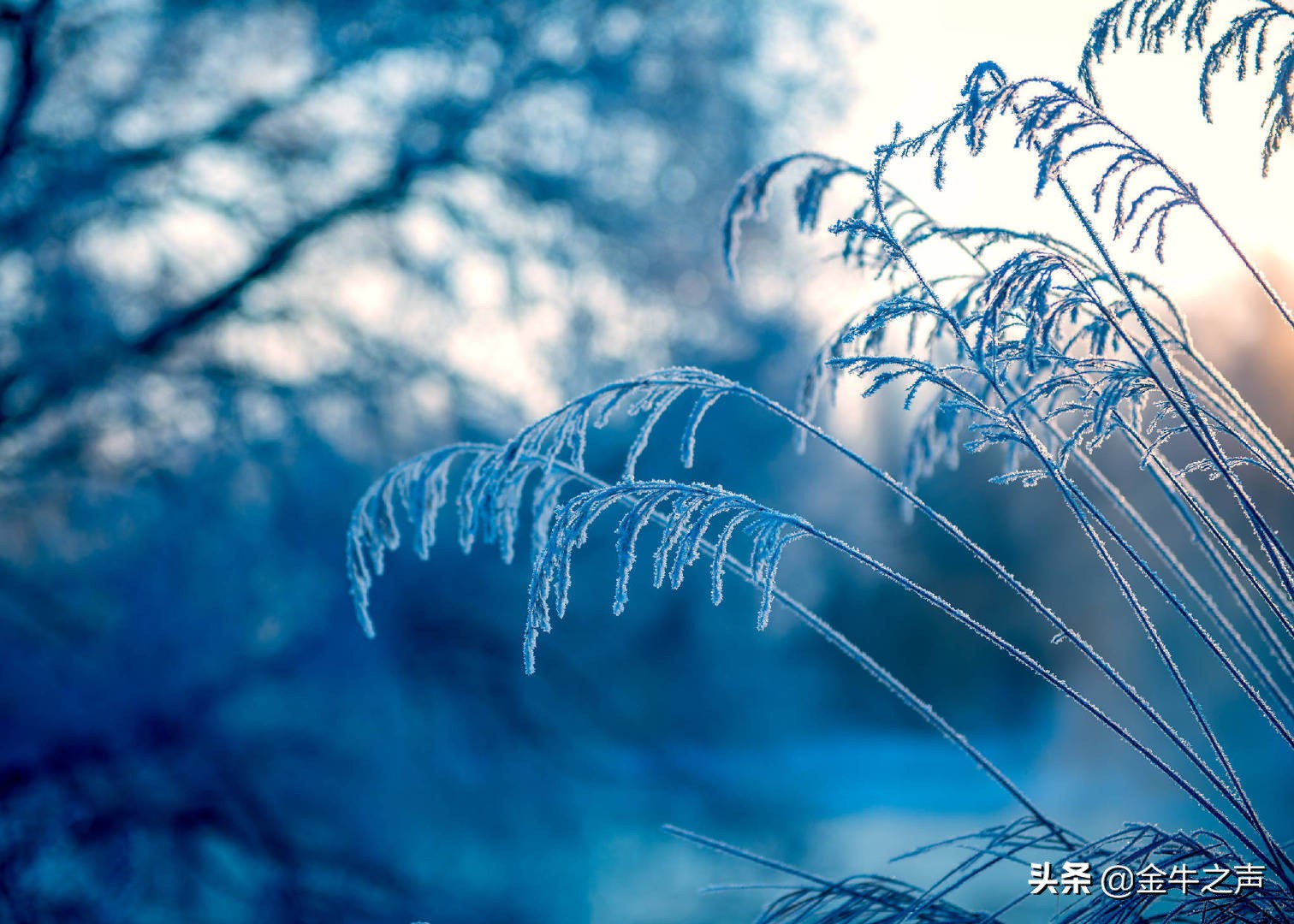 诵读国学传诵经典,关于国学经典传诵的视频