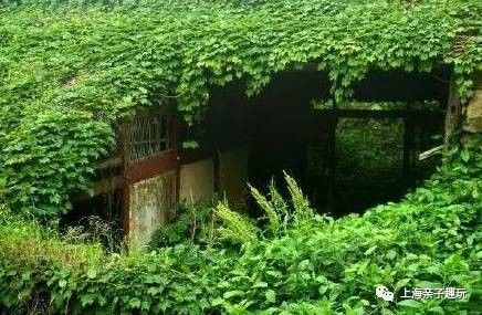 假期给大家送个福利,假期超强福利分享礼包