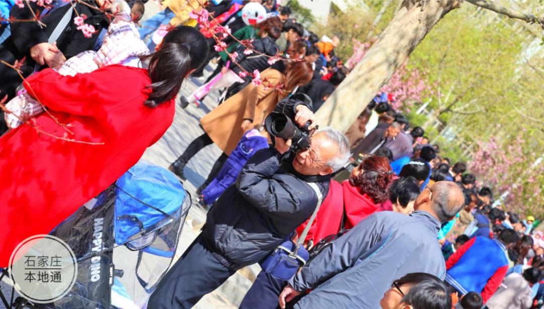 河北科技大学排名全国第几,河北科技大学怎么样好不好