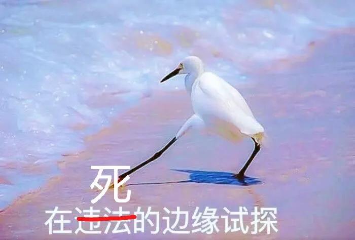 鸭血为什么叫打鸡血,鸭血打鸡血