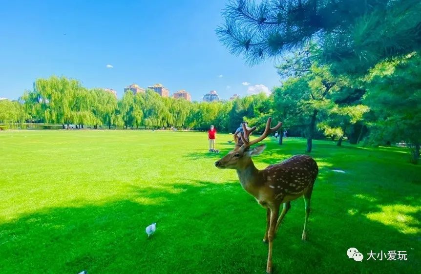 北京庄园旅游景点推荐,北京亲子庄园游玩推荐