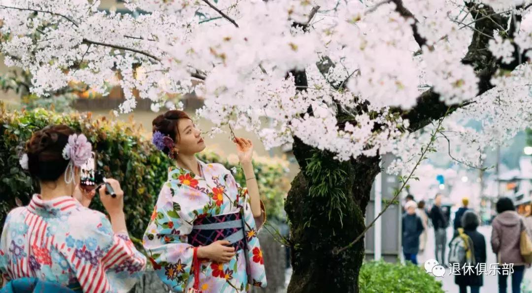 春暖花开，赏樱之时~与花“别苗头”，怎么拍才不会输？