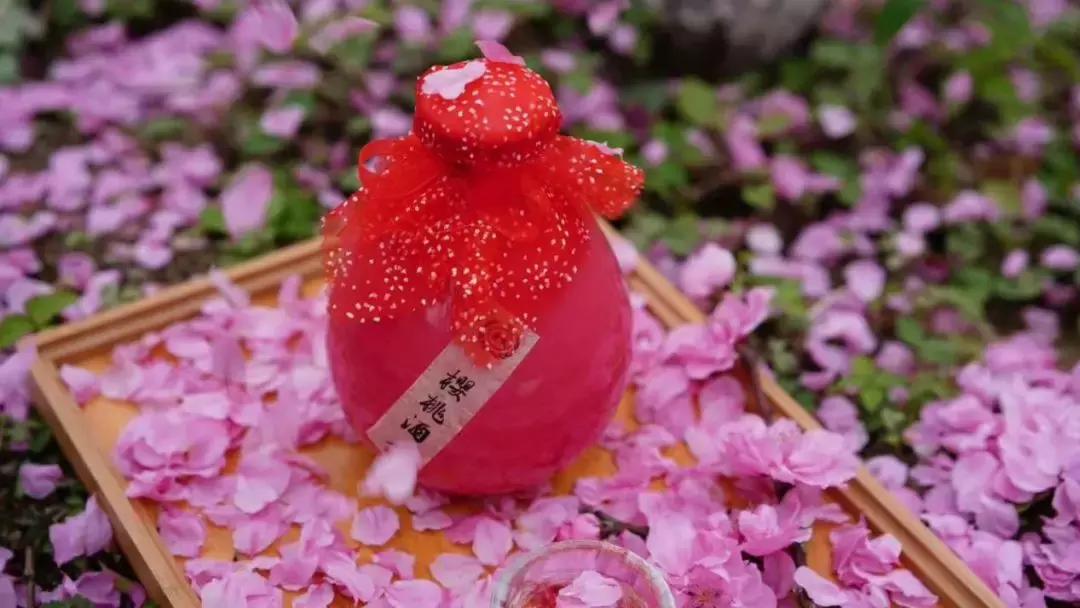 欢迎全国各地朋友到四川旅游做客,欢迎全国各地的朋友们来四川做客