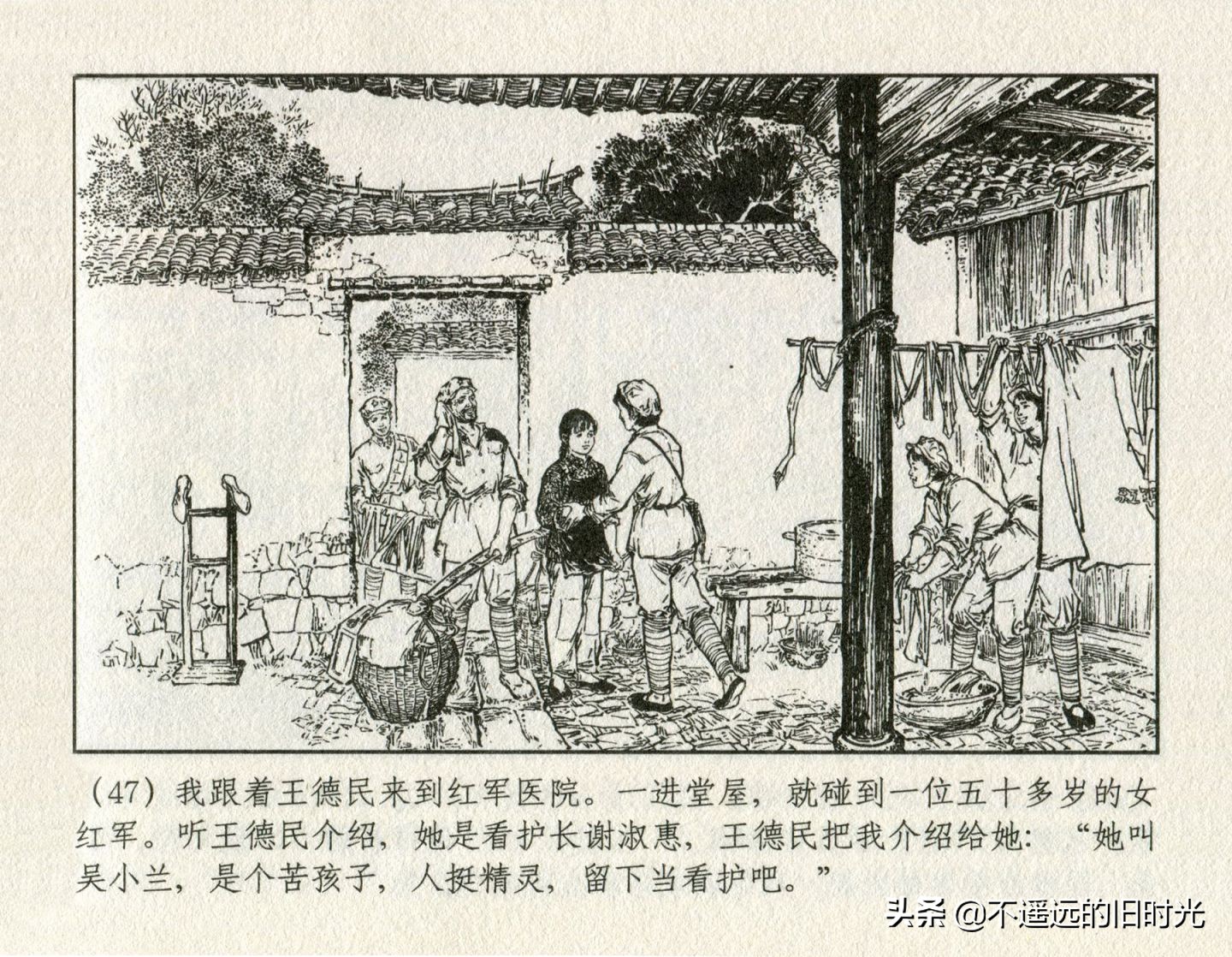 朝阳花-上海人民美术出版社1981初版2016再版陆成法陆小弟绘