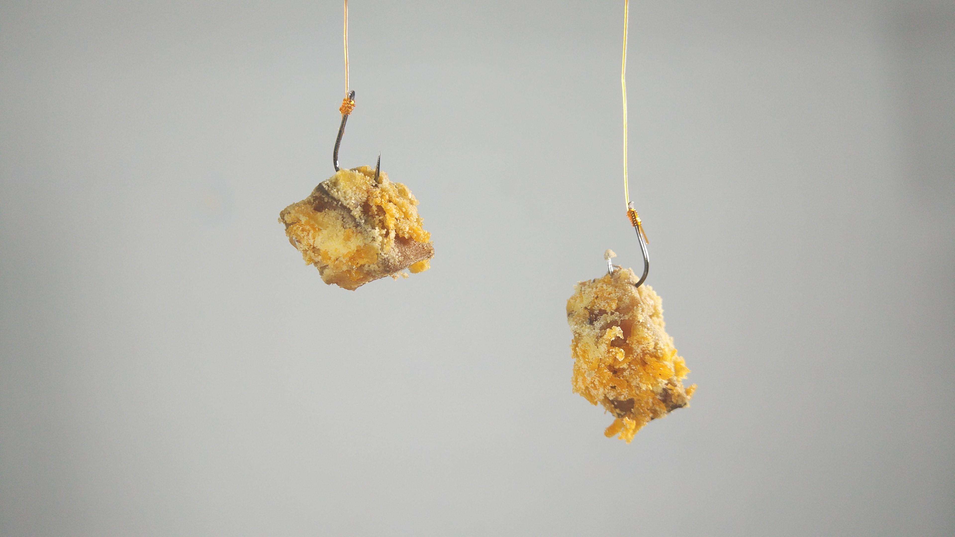 野钓钓饵最佳状态,野钓必备状态饵