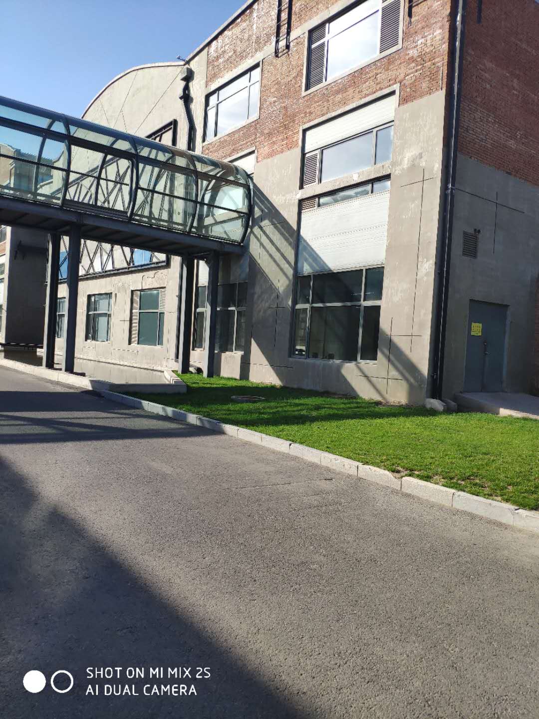 乐视辉煌的时候,乐视曾经有多厉害