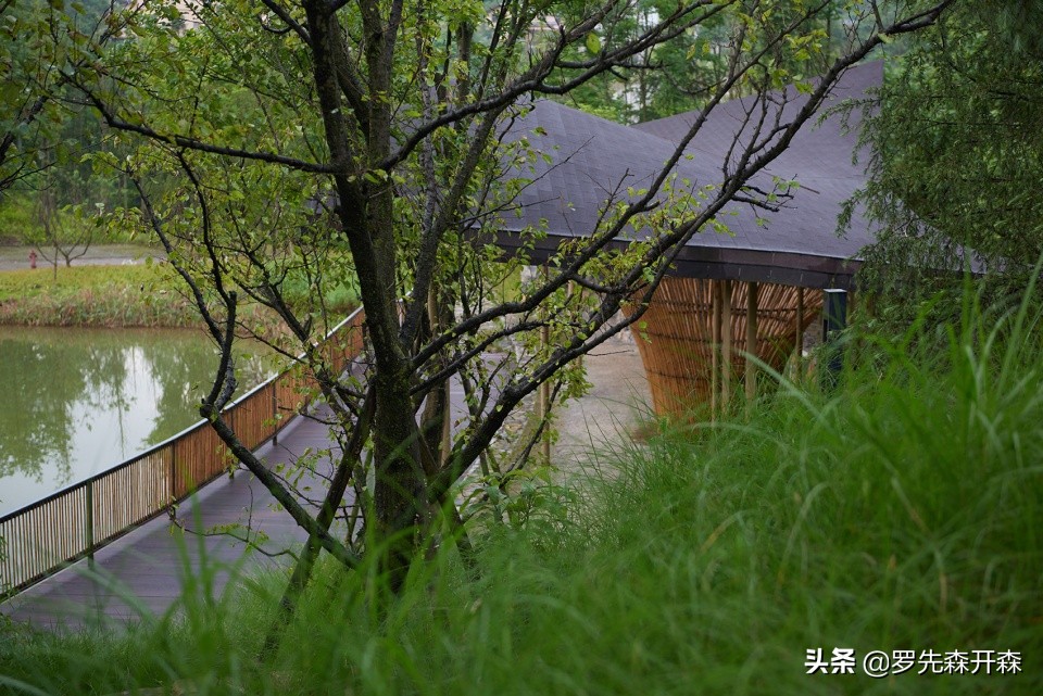 武隆归原小镇茶亭村,武隆归原小镇凤鸣谷星空露营