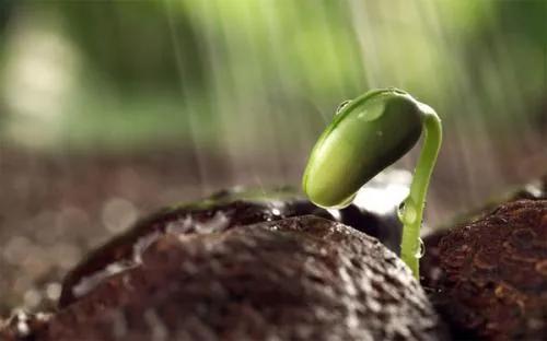 玉田县中医医院脑病四科成功抢救脑疝患者