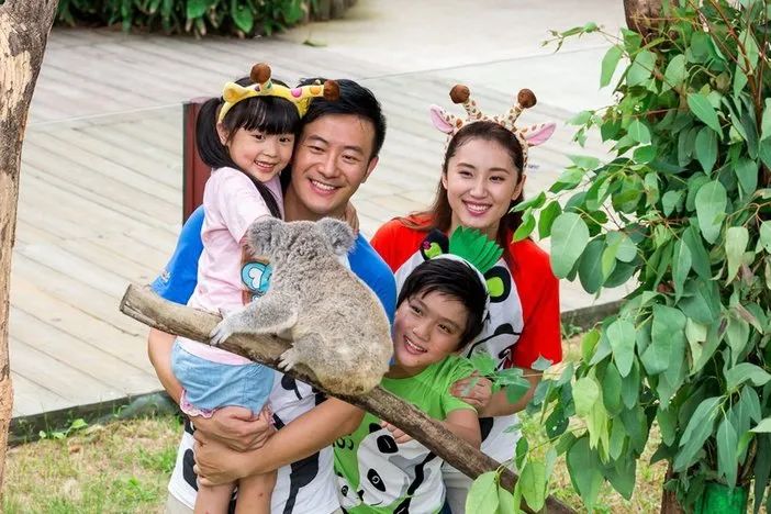 长隆野生动物世界暑假攻略,广州长隆野生动物园亲子一日游攻略