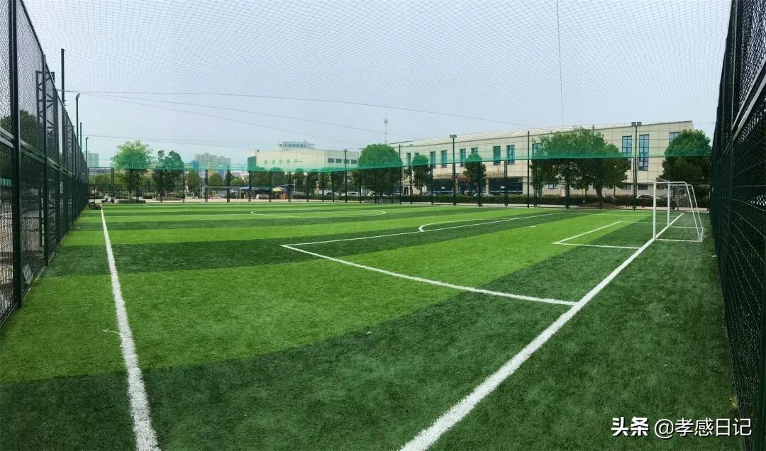 孝感足球场,孝感足球场免费开放时间