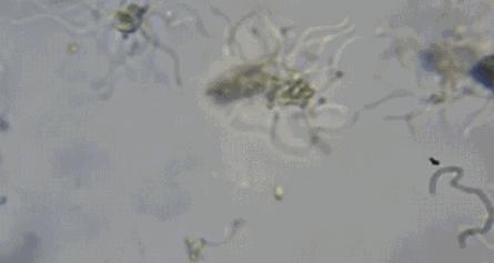 厨房必买5件物品,一见钟情的5种厨房用品