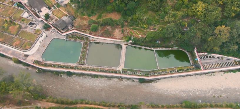 【法治新闻】水产公司被要求搬迁，2万余条大鲵怎么办？