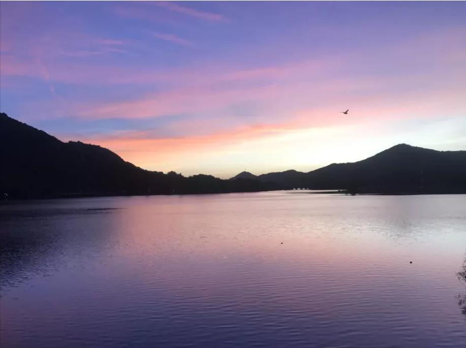 实用好用的app推荐一下免费下载,最实用的app软件推荐