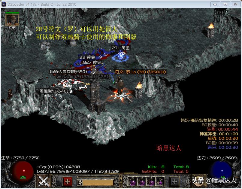 暗黑2圣骑士打boss用什么技能,暗黑2圣骑士和死灵法师哪个厉害