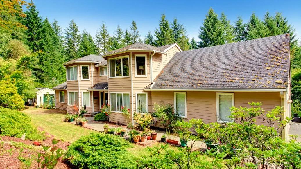 绿色环保建材一览表最新,环保新型绿色建材