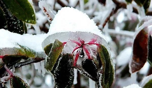 冬天去张家界好吗,张家界冬天去危险吗