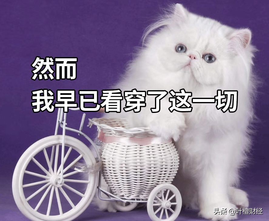 这类产品就是一个大忽悠！买了就坐等爆雷