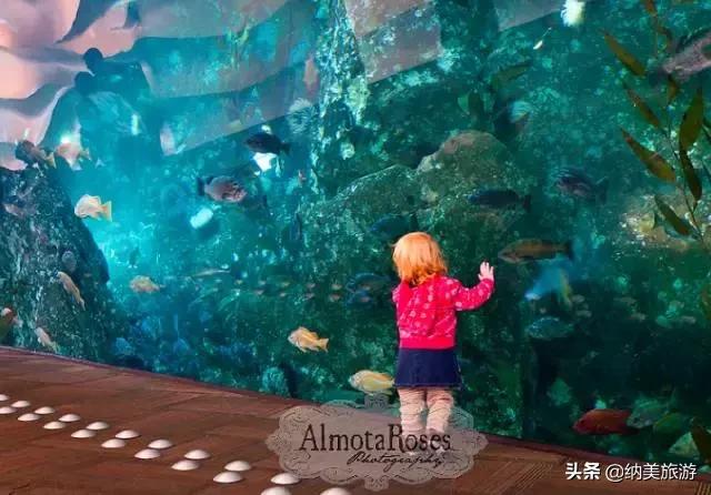 相约旅游景点大全,相约西双版纳旅游攻略