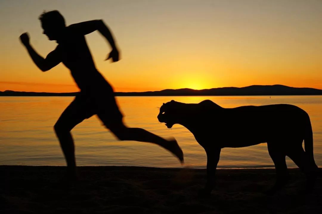 这个男人拍的漫画剪影，小孩看笑了，大人却哭了......