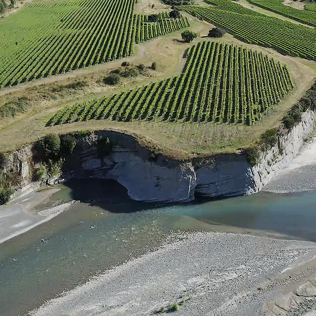 马尔堡黑皮诺,马尔堡生机勃勃长相思葡萄酒